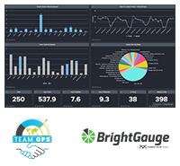 Team GPS integration with Brightgauge 